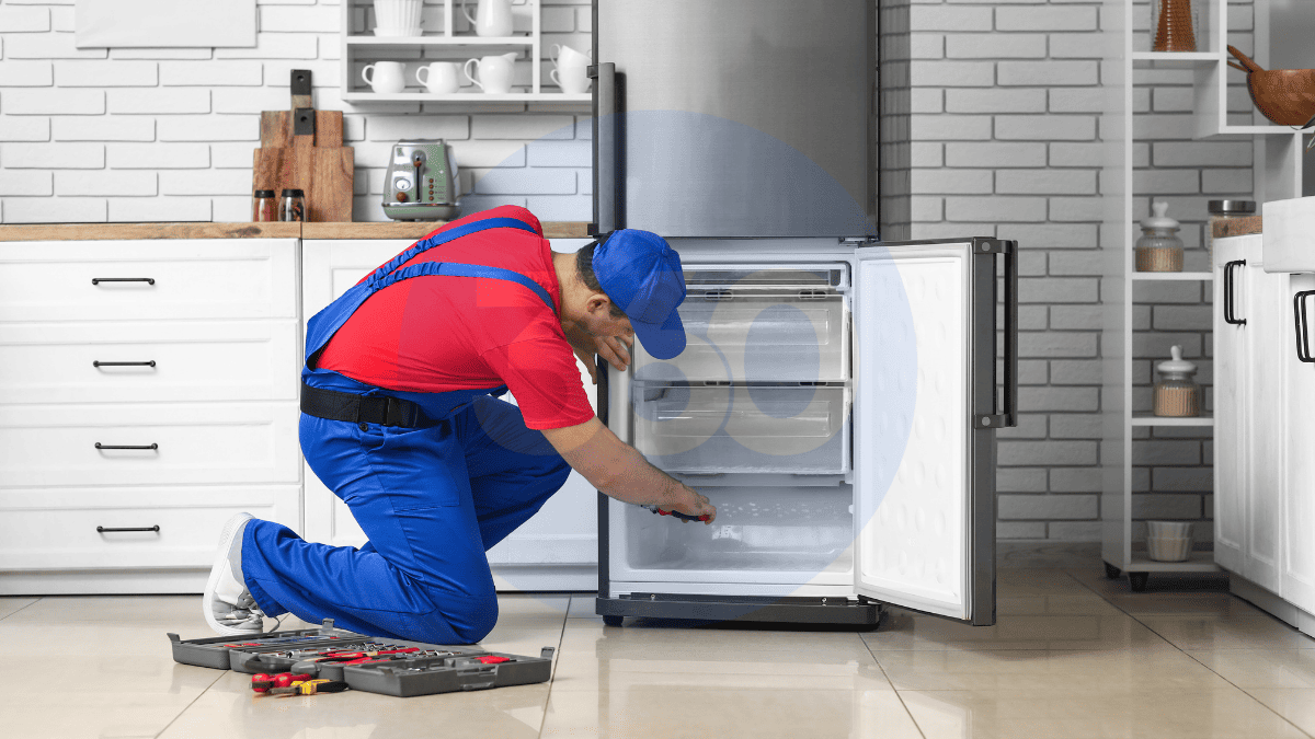 Olur Buzdolabı Servisi